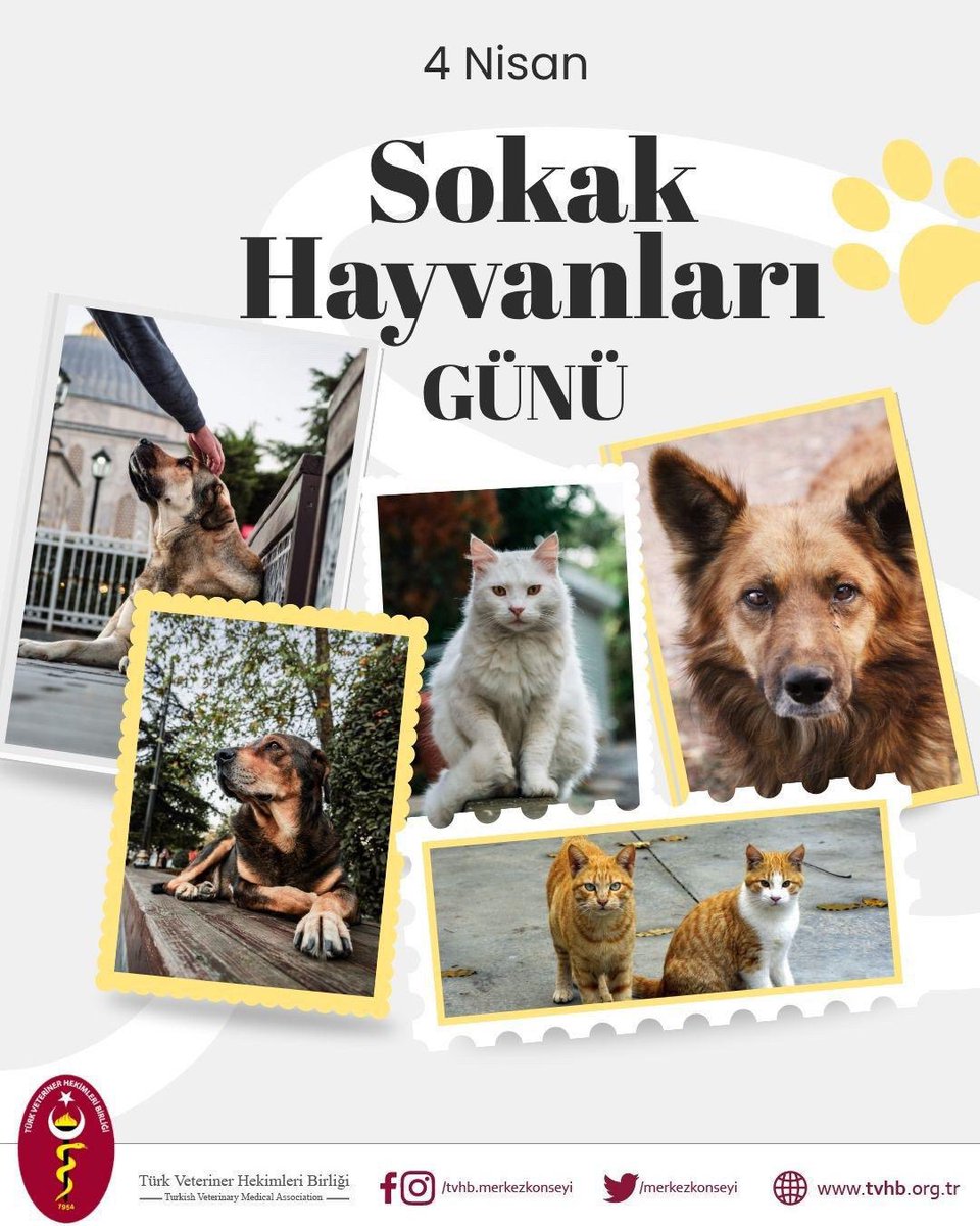 Türk Veteriner Hekimleri Birliği tweet media