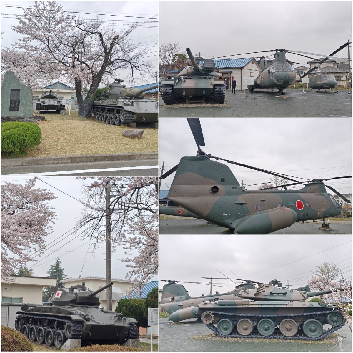 エクシード(雑多アカウント) tweet media