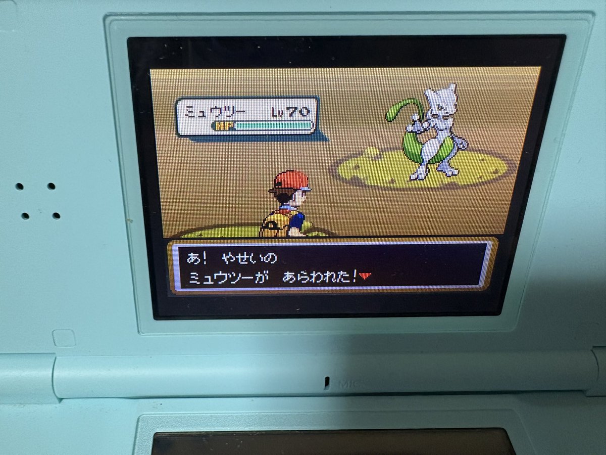 おかぴ tweet media