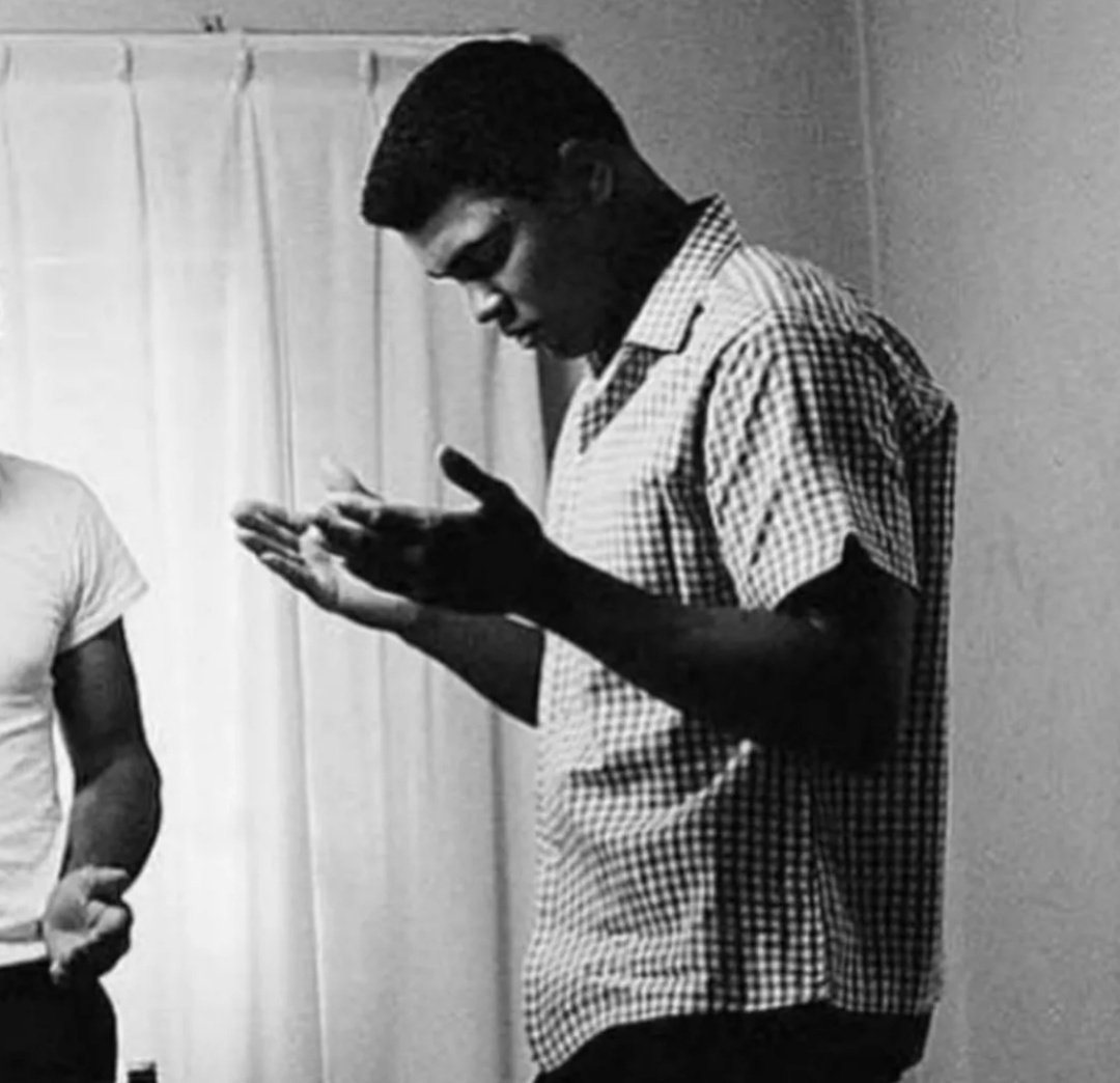 /\/\|)ee🦁 tweet media