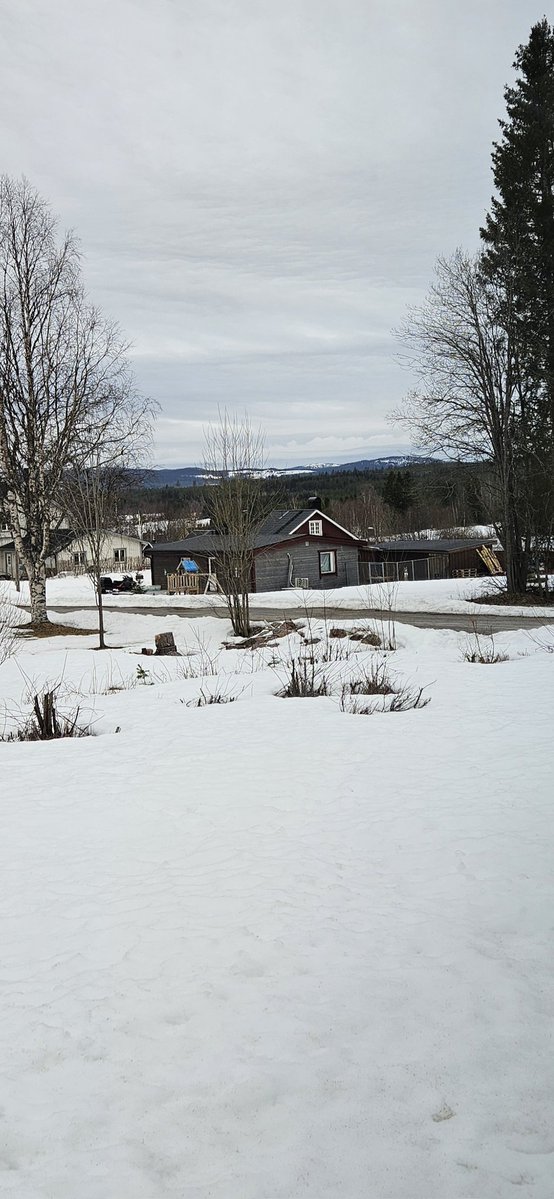 Carol klooster 🇸🇪 tweet media