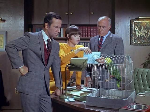 Soy PRO puro tweet media