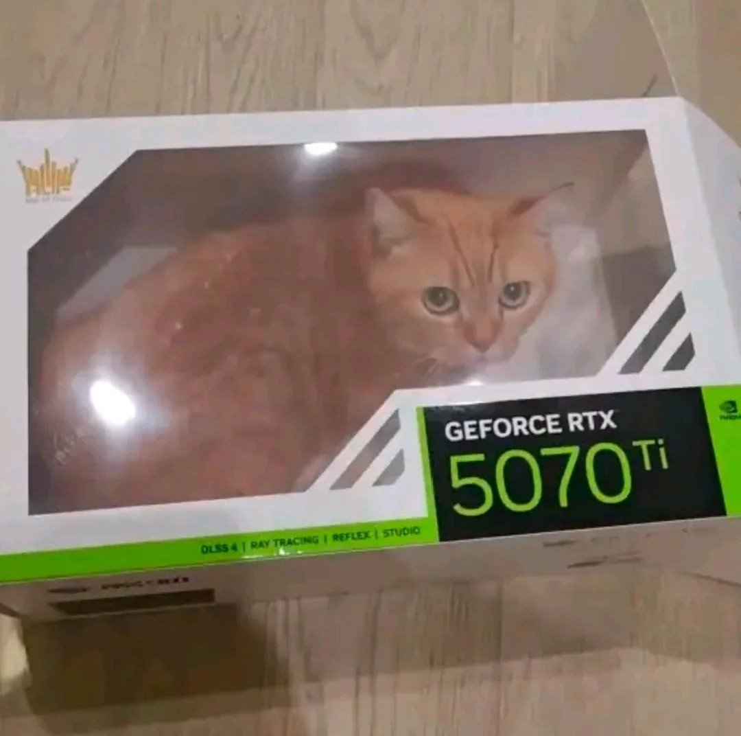 VideoCardz.com tweet media