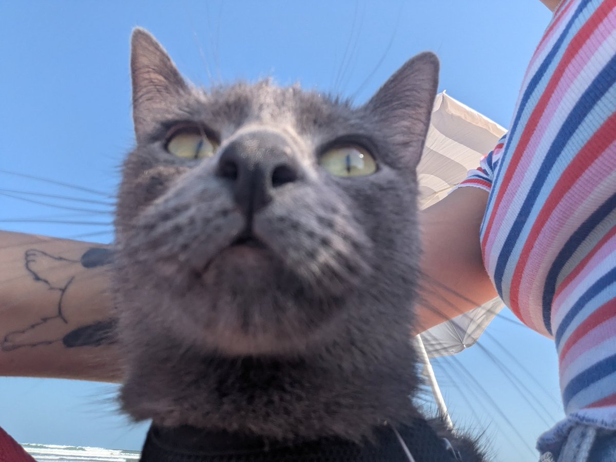 eatdeadrabbits's tweet image. Patas🦶 at #spi