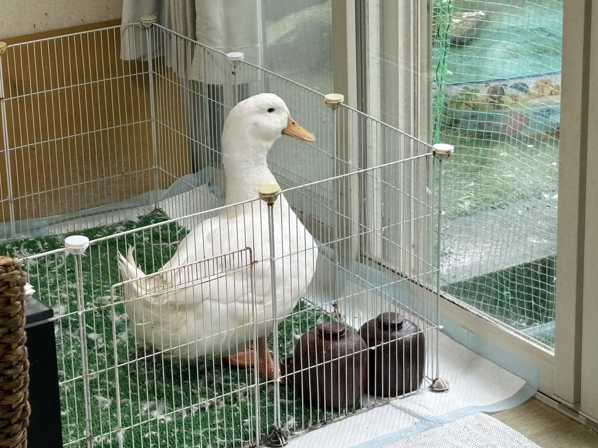 handmade Life tweet media