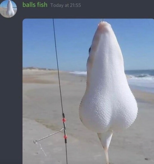 Shitpost 2077 tweet media