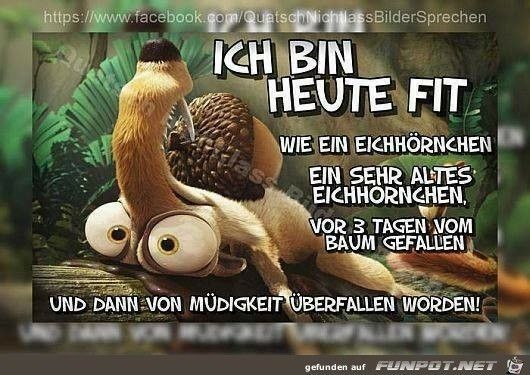 froeschi Sofatiere, Ritter der Schnuffelrunde(🏡) tweet media