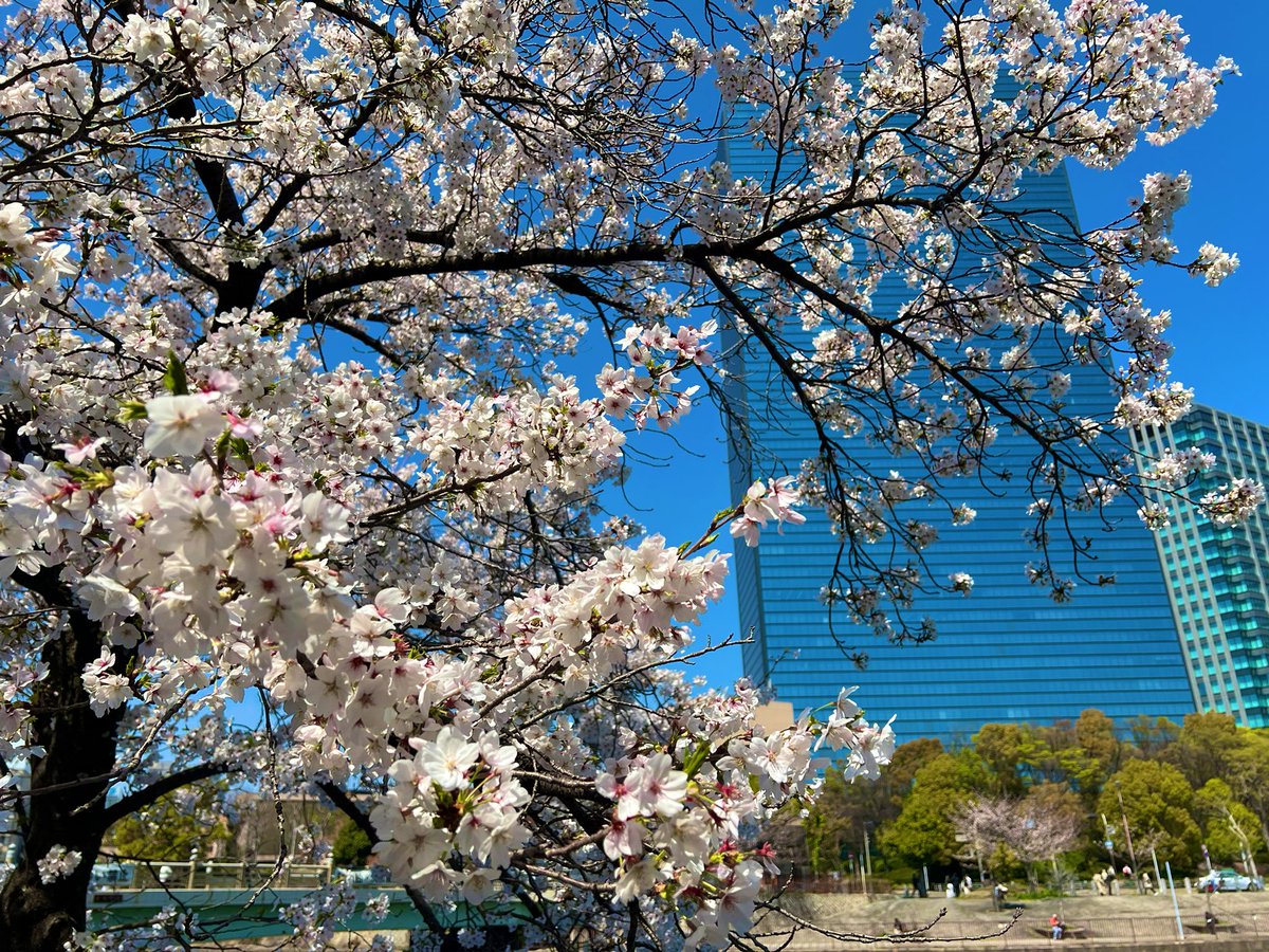 茶の間 tweet media