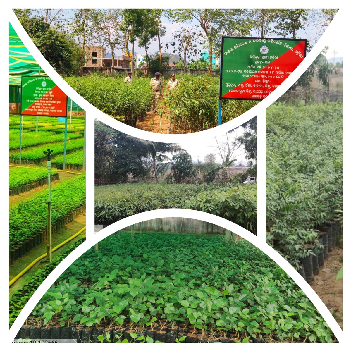 DFO Rayagada tweet media