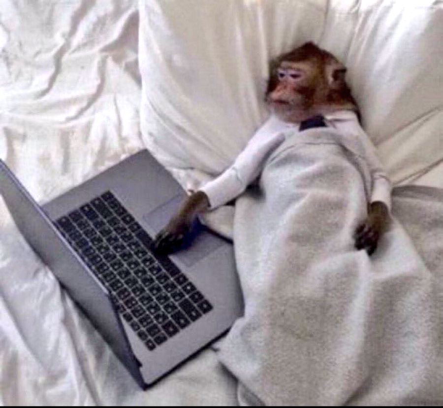 Greatness tweet media