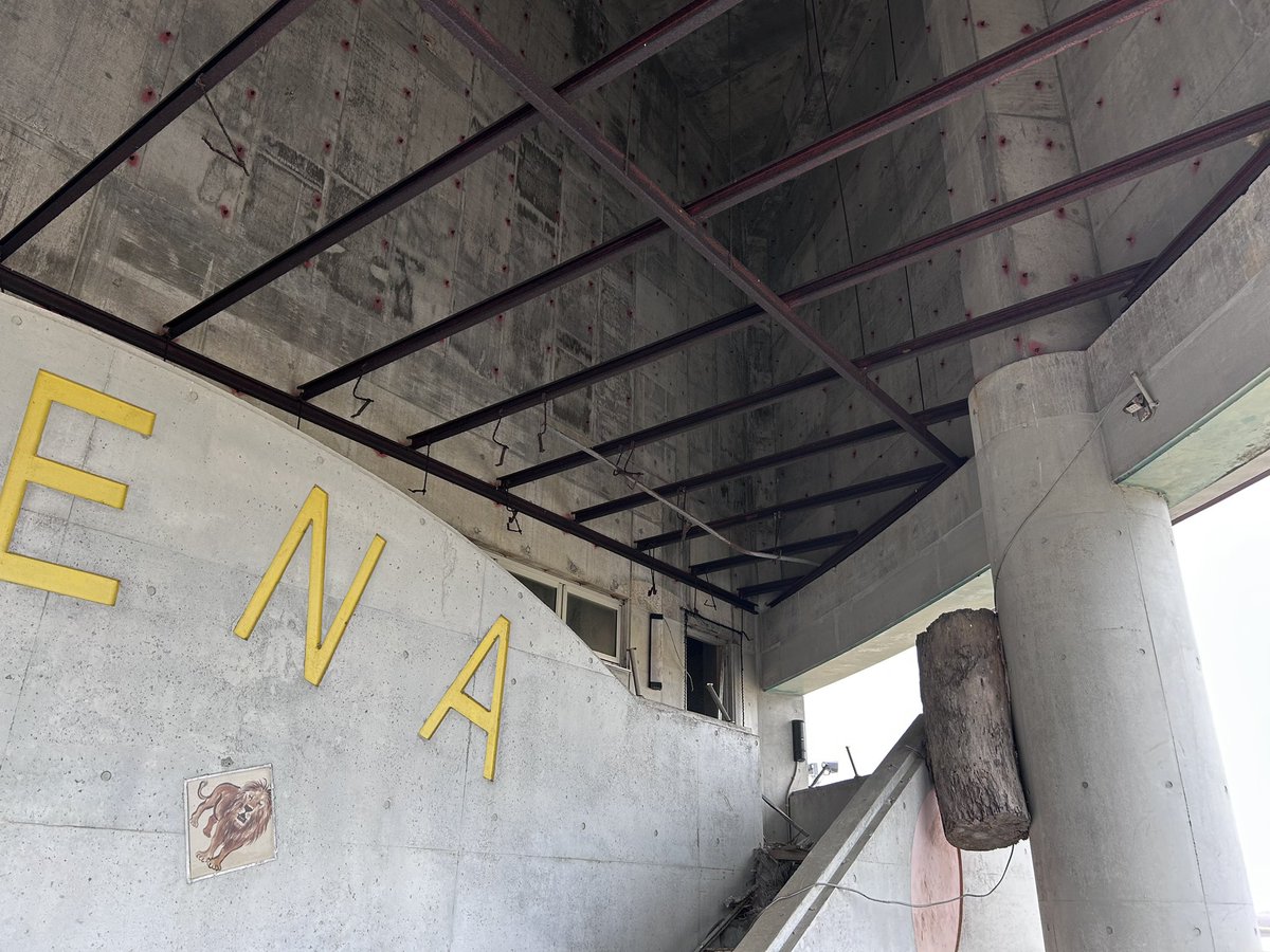 転職活動中の一七(かずな)→次:はつじゅー16→offf tweet media