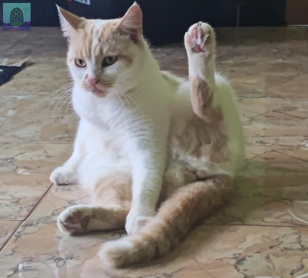 Tanyarl 💚 tweet media