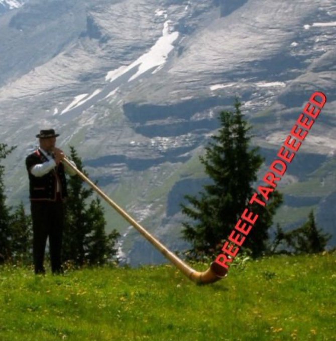 Michael Fraser tweet media