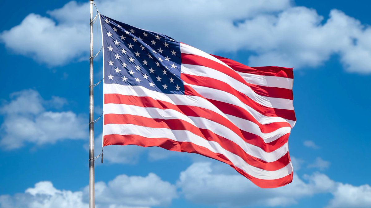 Whale Insider tweet media