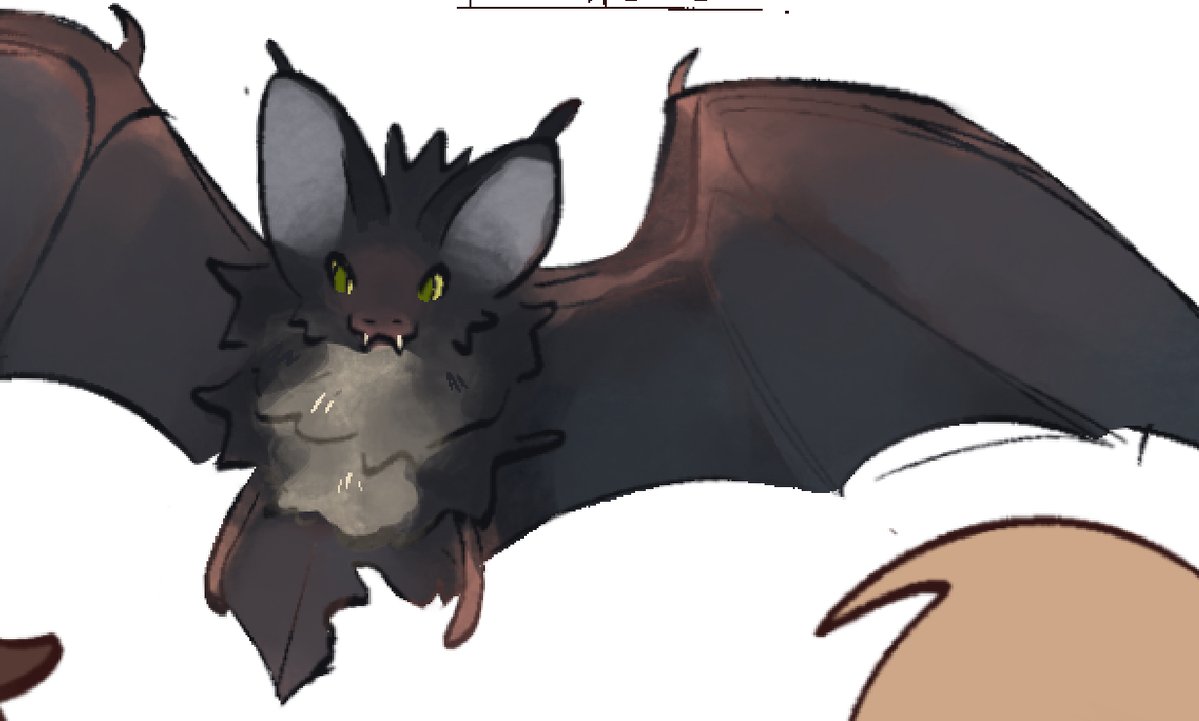 fishie 🐟 tweet media