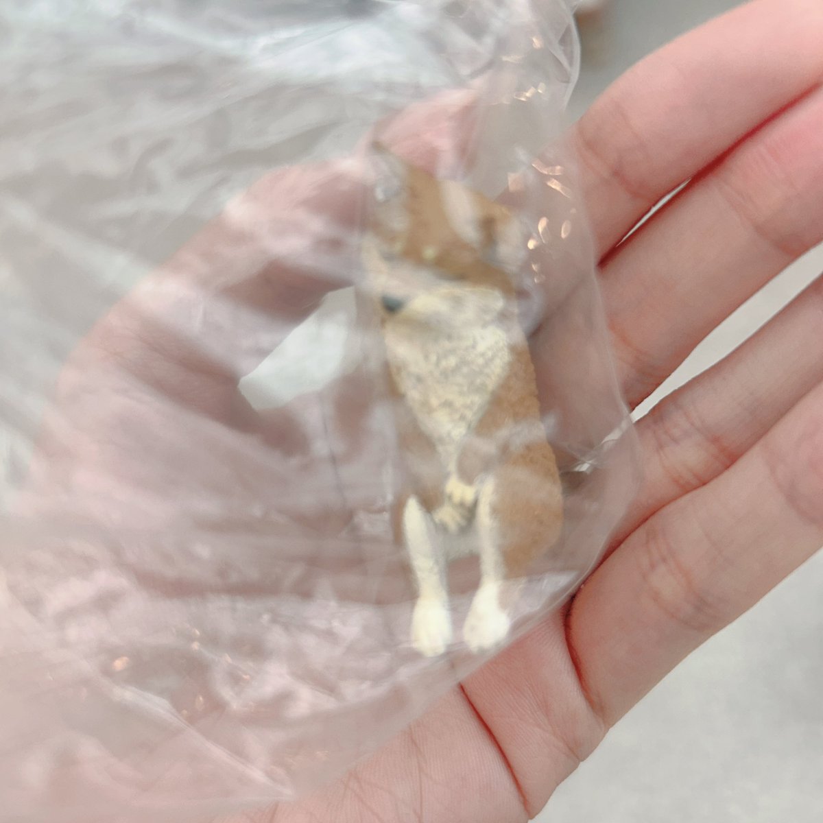 h取引♡ tweet media