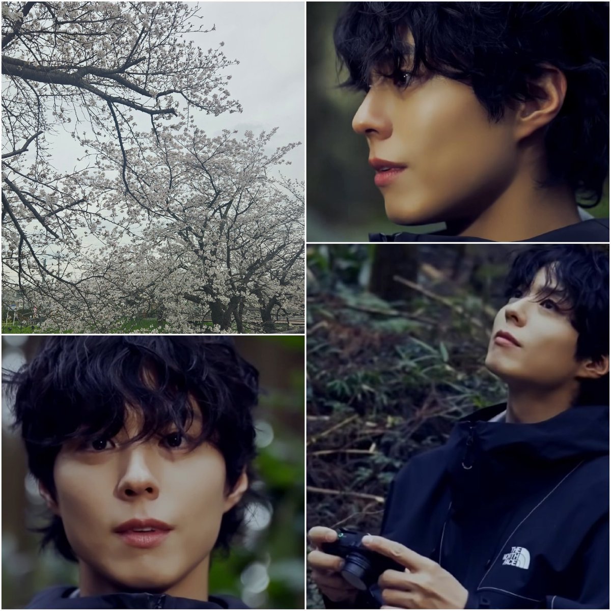 にゃんこ tweet media