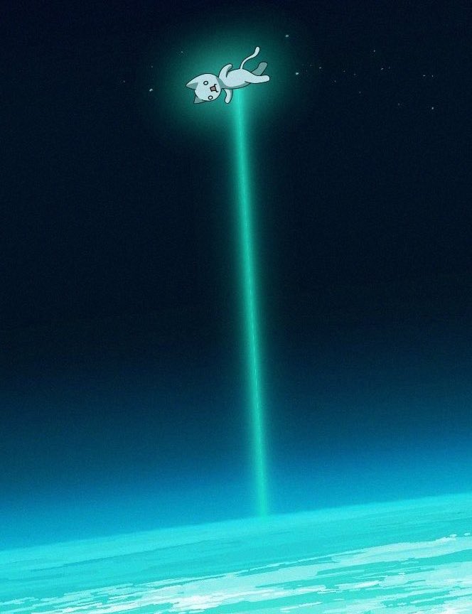 アグネスリウム (,,゚Д゚) 💹🎰 tweet media