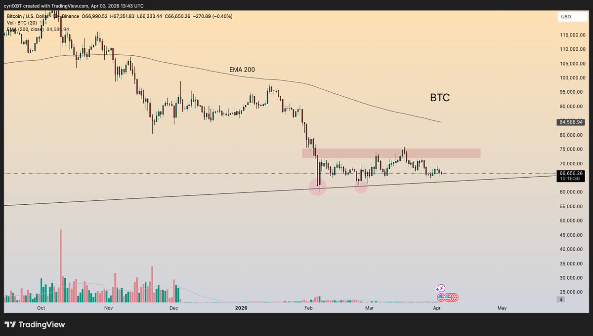 CyrilXBT tweet media