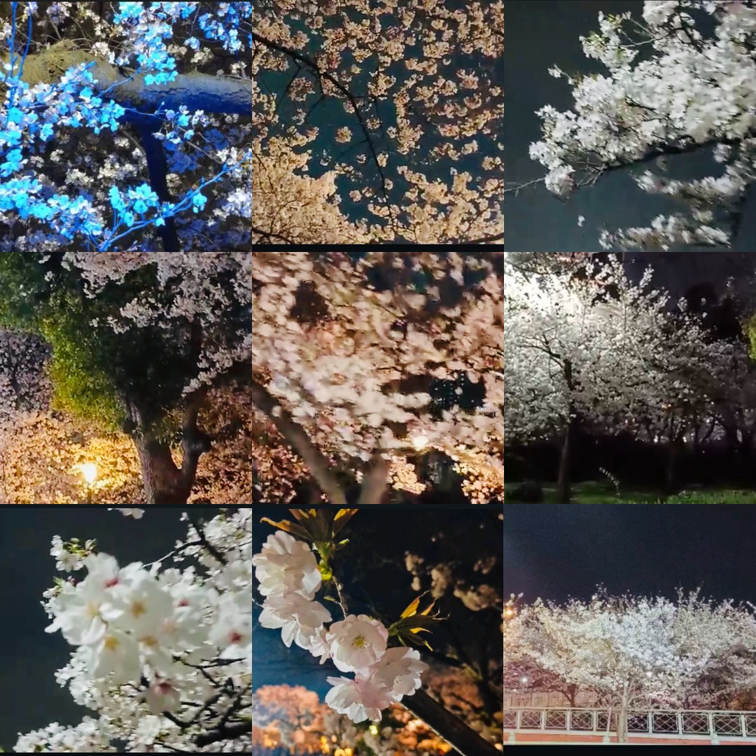 まぁこ ꕤ 𝕠𝕗 𝔻𝕒𝕟𝕕𝕖𝕝𝕚𝕠𝕟 tweet media