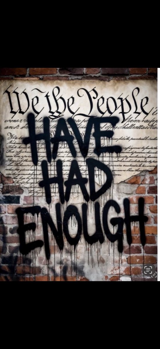 Ingridebap's tweet image. True that &amp;amp; I’m still baffled that he challenged the #14thAmendment birthright with an EO &amp;amp; violates due process but we keep ignoring &amp;amp; allowing the undermining of #14thAmendmentSec3 which can disqualify &amp;amp; remove all those who incited &amp;amp; engaged in the #January6thInsurrection