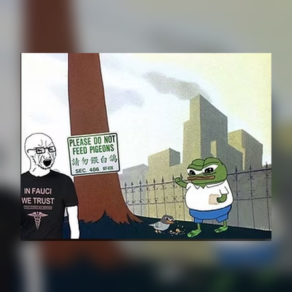 Kekrebubliih's tweet image. Obey the sign. Or feed the birds and watch chaos unfold. Pepe chose chaos. Fair launch on pump.fun 
#TROK #PumpFun #Solana #CryptoMemes