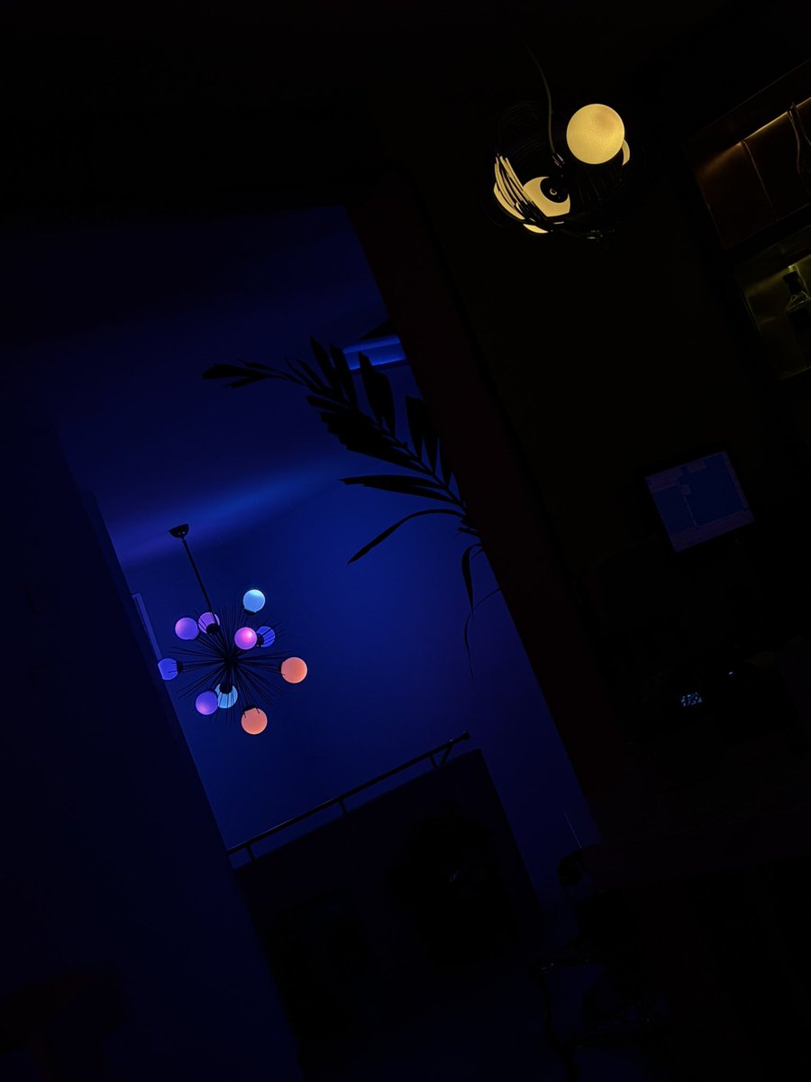 ๐๐ข๐ณ๐ต๐ฐ๐ฐ ๎จ tweet media