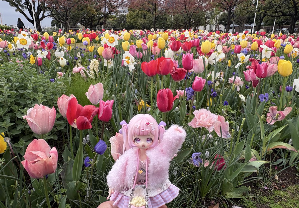 ゆずこと!! tweet media