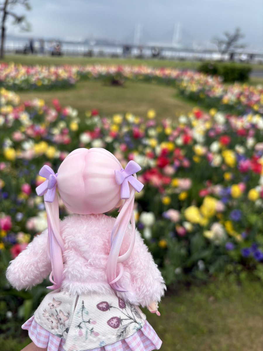 ゆずこと!! tweet media