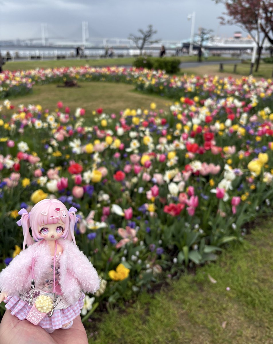 ゆずこと!! tweet media