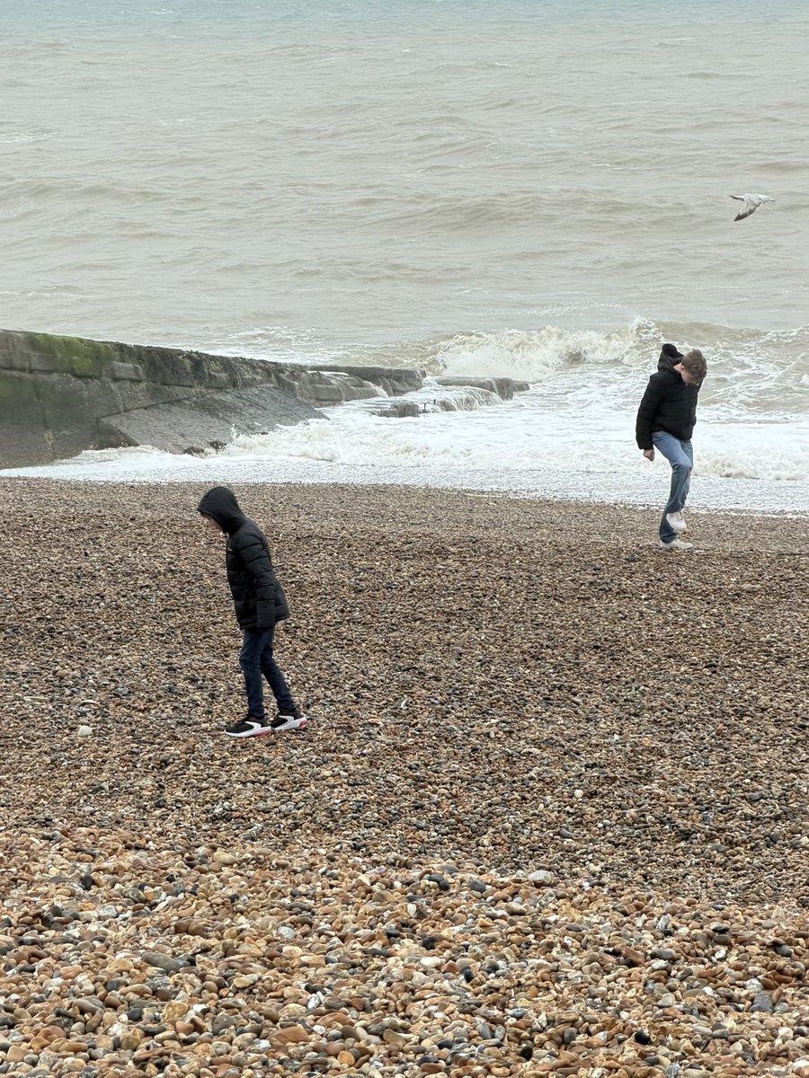 💙 Charmaine Hardy 💙 tweet media