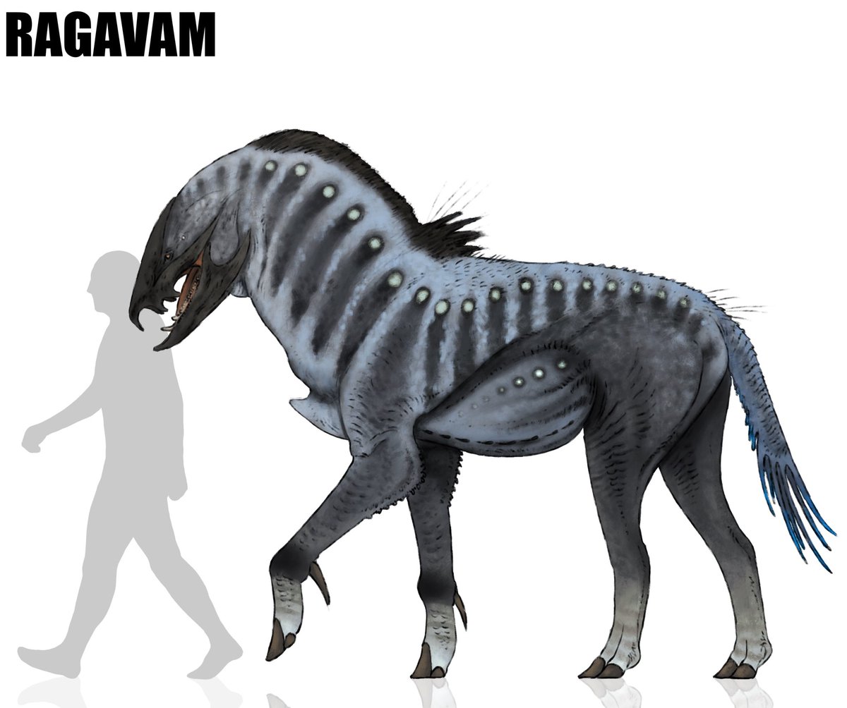 sam fart ಠ▃ಠ tweet media