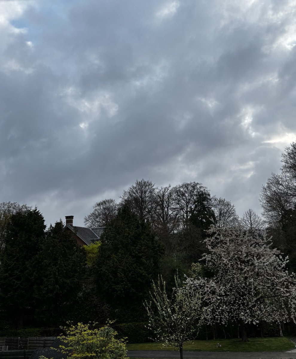 Gart Scheppers 🕊💙🕊️ tweet media