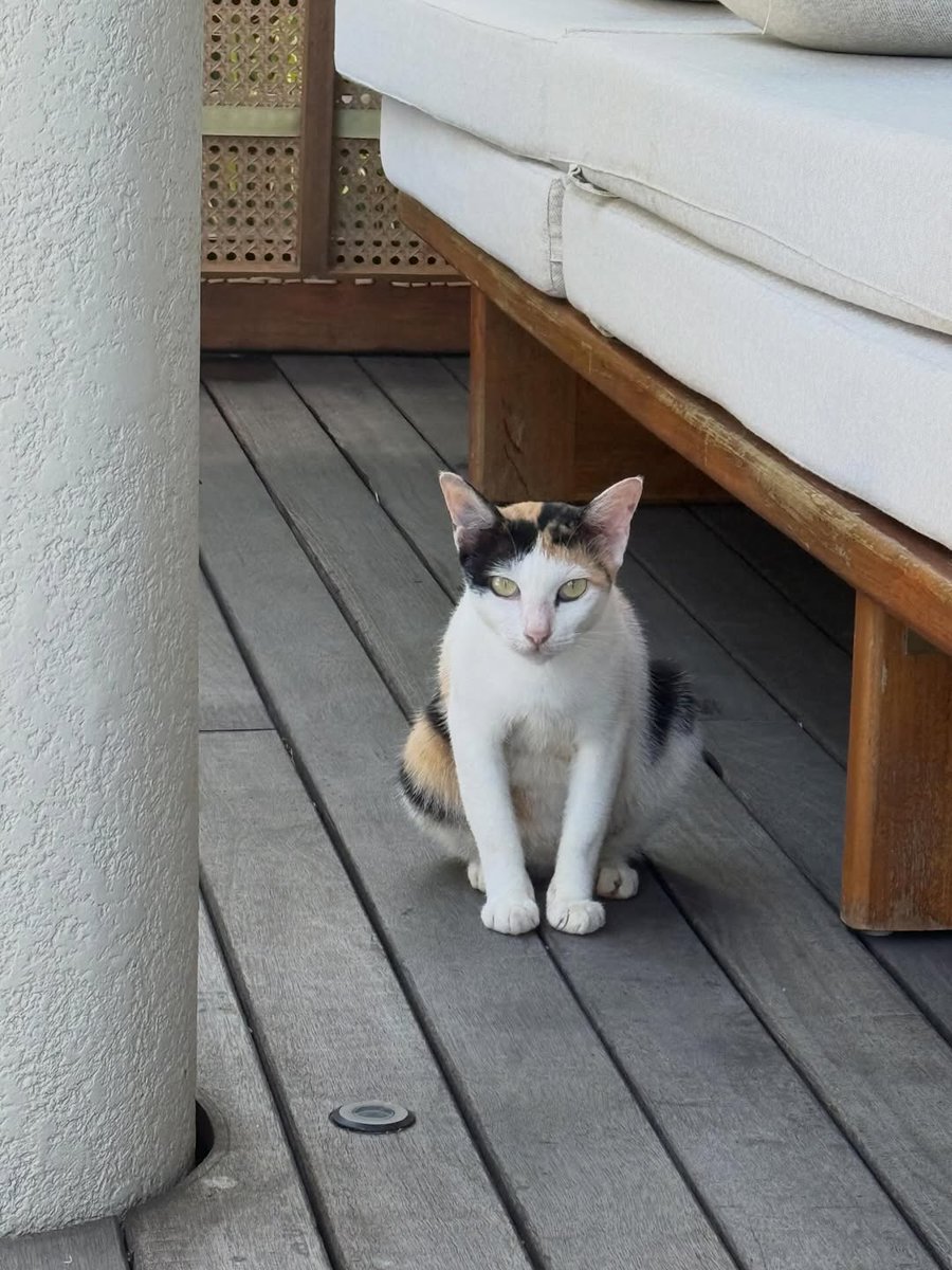 260404 seulstagram update

"March memories 🏖"

🎶 Strawberry Guy • Birch Tree

instagram.com/p/DWszccokT5-/
#레드벨벳 #RedVelvet #슬기 #SEULGI <a href="/RVsmtown/">Red Velvet</a>