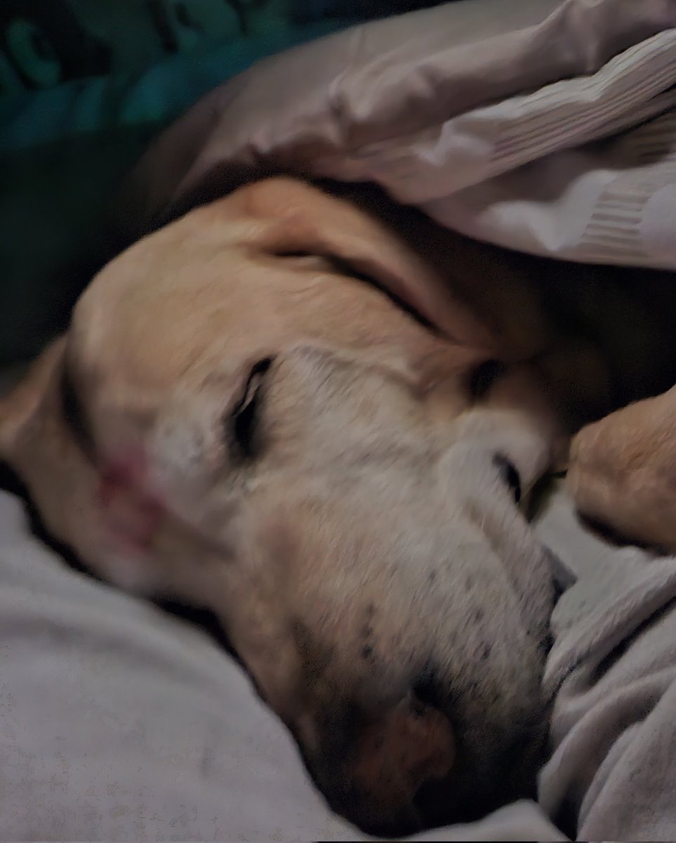 vaan⁷ busca boletos para bts tweet media