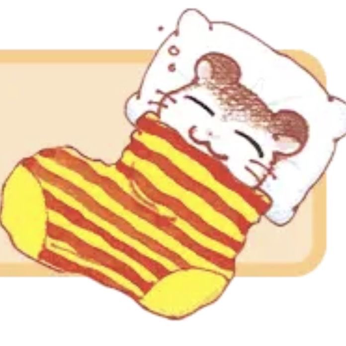 raghdaꫂ᭪݁ tweet media