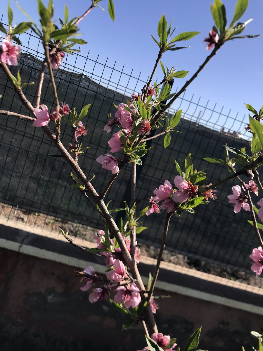 Hakan ÜNSAL tweet media