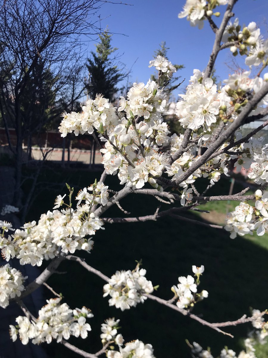 Hakan ÜNSAL tweet media