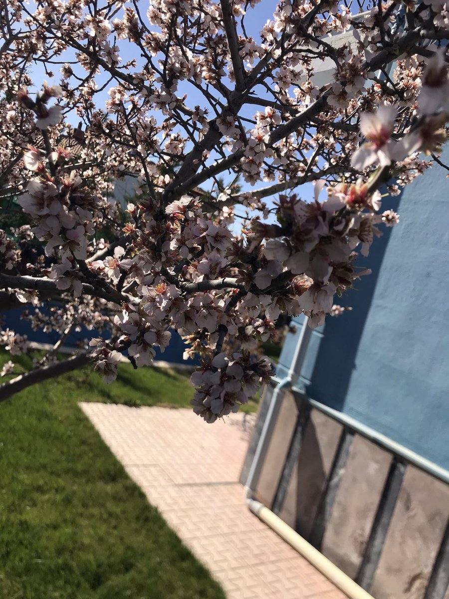 Hakan ÜNSAL tweet media