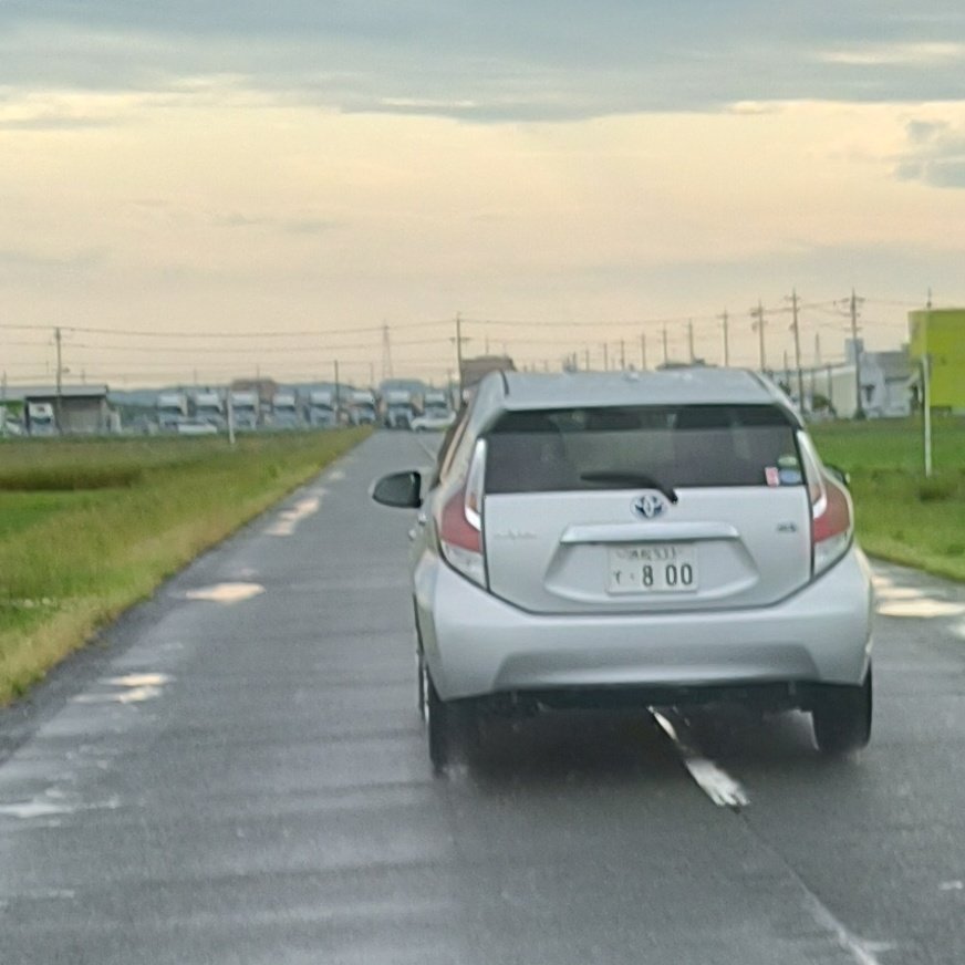 🍜アレック🐿🐟🌙🐏🔨🪗 tweet media