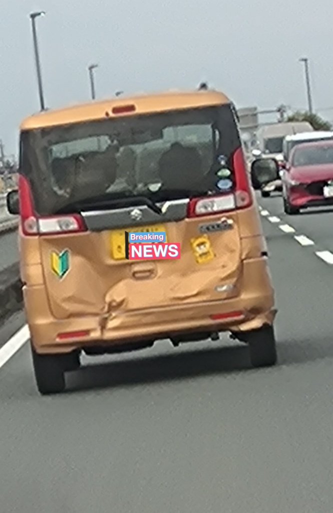 🍜アレック🐿🐟🌙🐏🔨🪗 tweet media