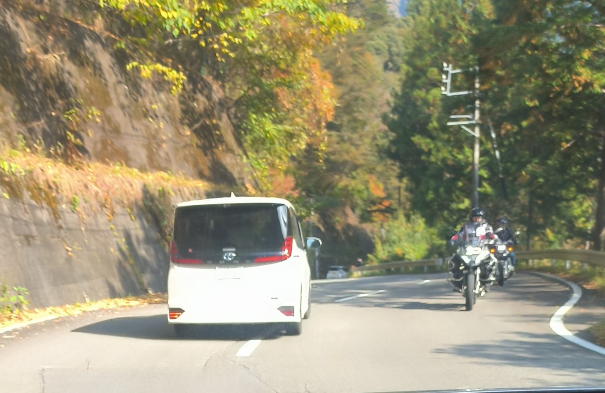 🍜アレック🐿🐟🌙🐏🔨🪗 tweet media