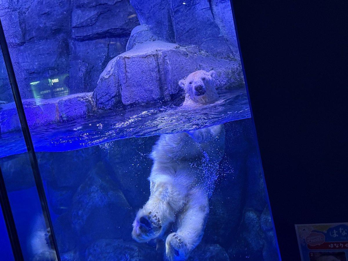 スレイ/Sray_Ai @VRC tweet media