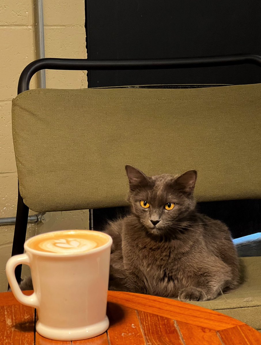 Rikhman Rashidi tweet media