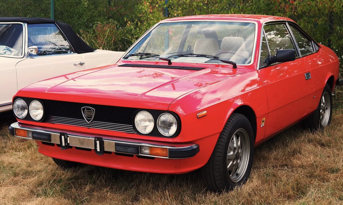 L’Oasi di Salvo tweet media