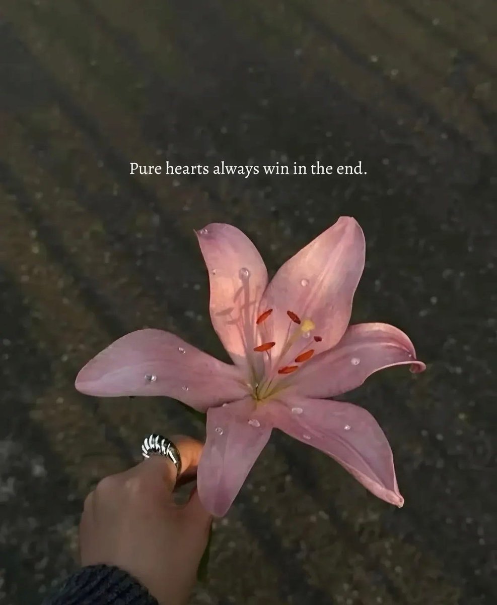 love drops tweet media