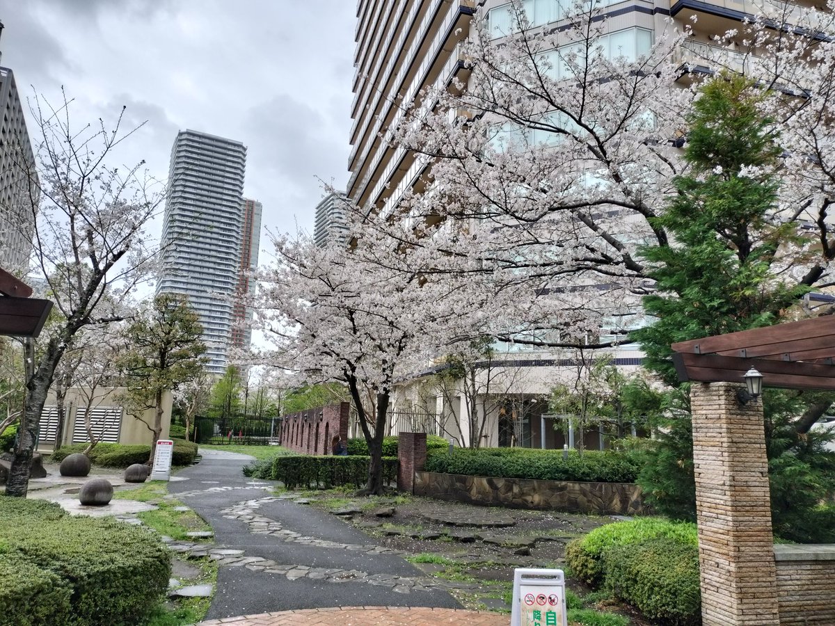 やまけー tweet media