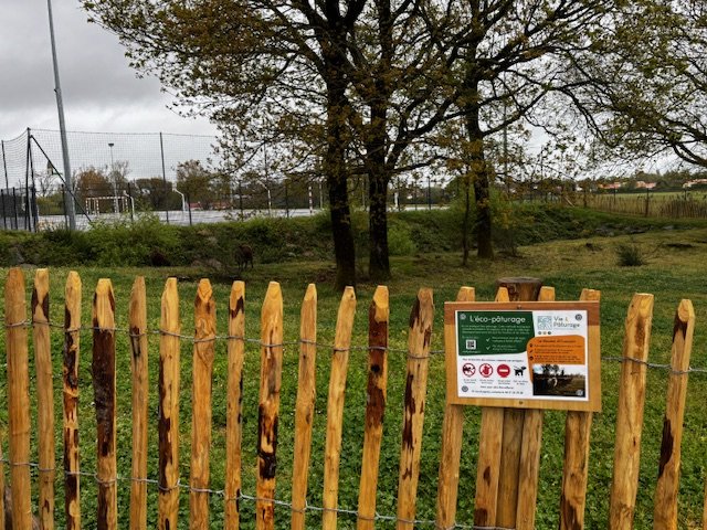 seblotode's tweet photo. 🌿🐑 Fier d’inaugurer notre nouvel espace d’écopâturage au collège Charles-Milcendeau ce 3 avril 2026 !  
Un projet porté par nos élèves, nos équipes et le soutien précieux de La Trousse à projets.  
Éduquer autrement, au plus près du vivant. 🌱✨
#Écopâturage #SEGPA #E3D https://t.co/NUOwYSOhGm
