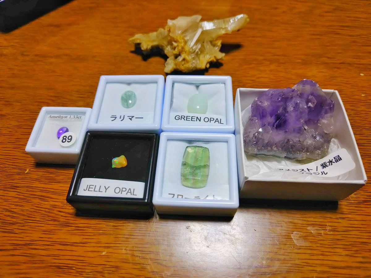 kooga(くーが) tweet media