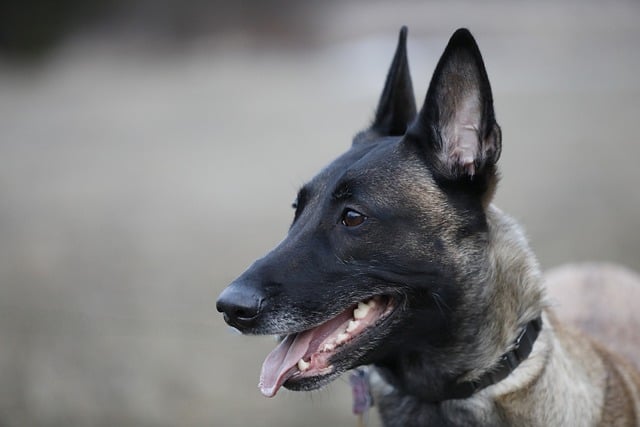 Cybill Adams tweet media